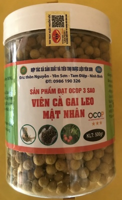 Viên cà gai leo mật nhân