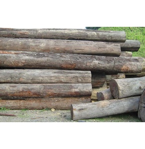 Gỗ Táu Mật tròn ( Talauma wood )